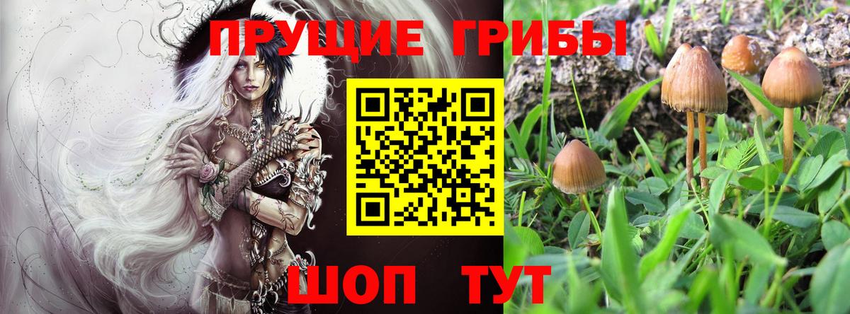 Галлюциногенные грибы мицелий Нарткала