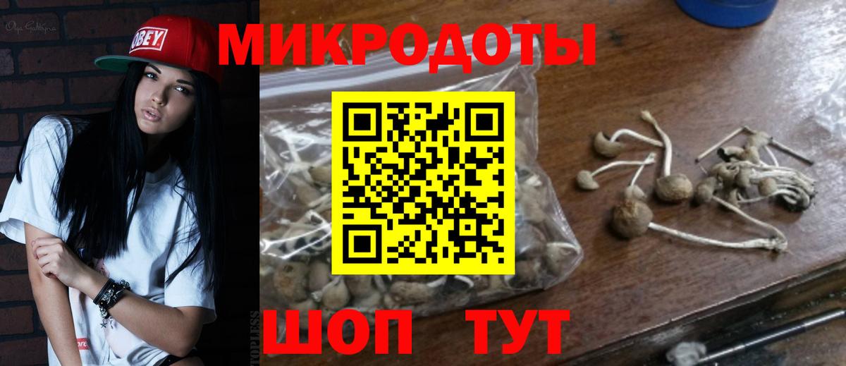 Нарткала  Псилоцибиновые грибы мицелий  Вход с VPN 